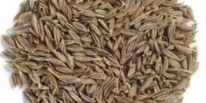 Cumin Seeds