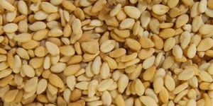 Natural Sesame Seeds