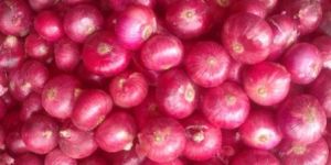 Fresh Red Onion