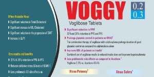 Voggy Tablets