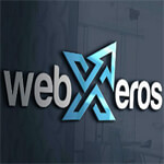 Search Engine Optimization Services