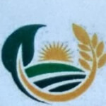 Fresh Green Capsicum