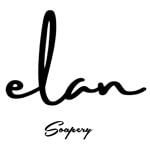 Professional Makeup Brushes