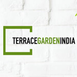 Dining Room Designing