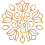 Airport Transfer Service