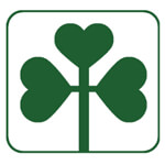 E Commerce Website Designing Services