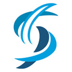 Digital Marketing Services