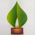 M S White Coal Industries and Biofertilizers