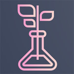 Hydraulic C Type Presses