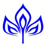 churu/z-n-global-nation-10944288 logo