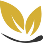 Fat Transfer Treatment Service