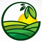 Advanced Multinational Traders