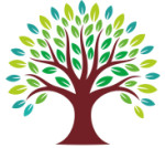 Boring Grade Sodium Bentonite Powder