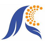 Hair Transplantation