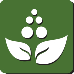 mosquito repellent spray