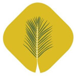 Areca Leaf Disposable Plates