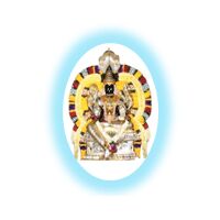 Automatic Wire Cutting Machinery