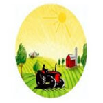 Coco Coir Soil