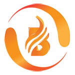 Web Development Services