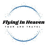 Airline Ticketing Agents