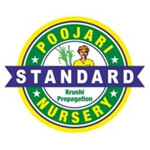POOJARI STANDARD NURSERY