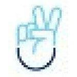 Digital Marketing Services