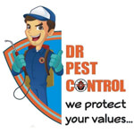 Spider Control Services