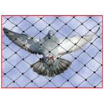 shivaji safety net services