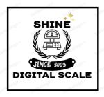 Precision Weighing Scale