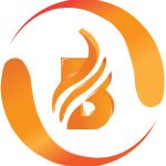 Web Portal Development