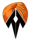 amritsar/tele-turban-12116062 logo