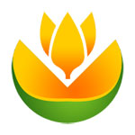 Divya Drishti Enterprise