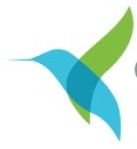 Offshore Development Services