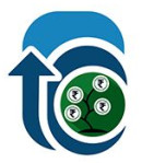 Tax Consultancy Service