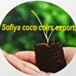 Export Marketing Services