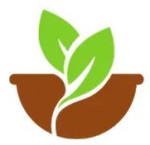 Fortunext