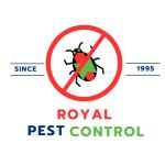 Fly Control Service