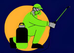 Bed Bug Pest Control