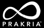 PRAKRIA MARKETING AGENCY