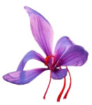 mahesana/sharma-industries-12598693 logo