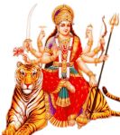 Love Problem Solution