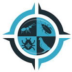 Deep Cleaning Services