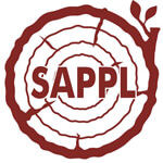 Wooden Kitchen Utensil