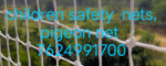 Pigeon Net