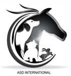 Reflective Cross Belt