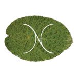 araria/nu-creations-forbesganj-araria-1322883 logo