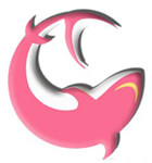 Destination Wedding Services