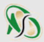 Stainless Steel Sheet