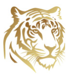 Family Tour Services