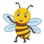 Preschool Education Program